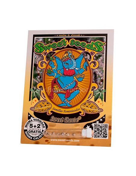 Sweet Cheese de Sweet Seeds