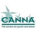Canna